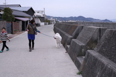 サンちゃん御一家