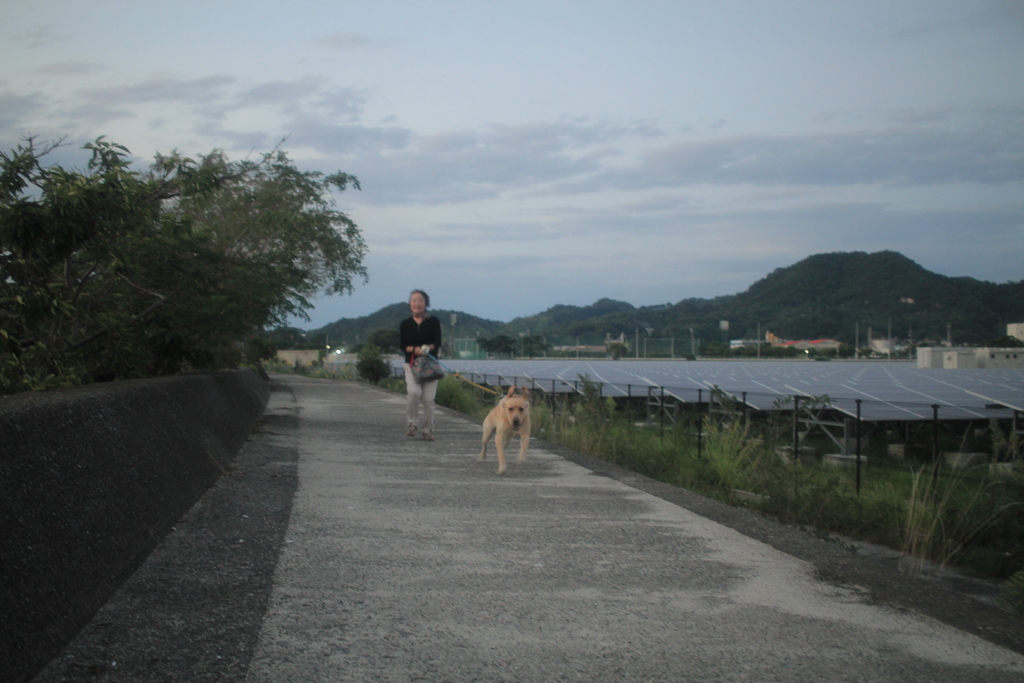 ラブちゃんのラブラブアタックは力士並