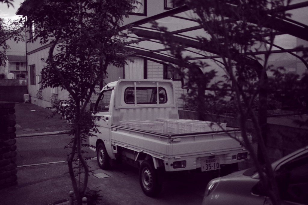 朝＠2020‐08‐03