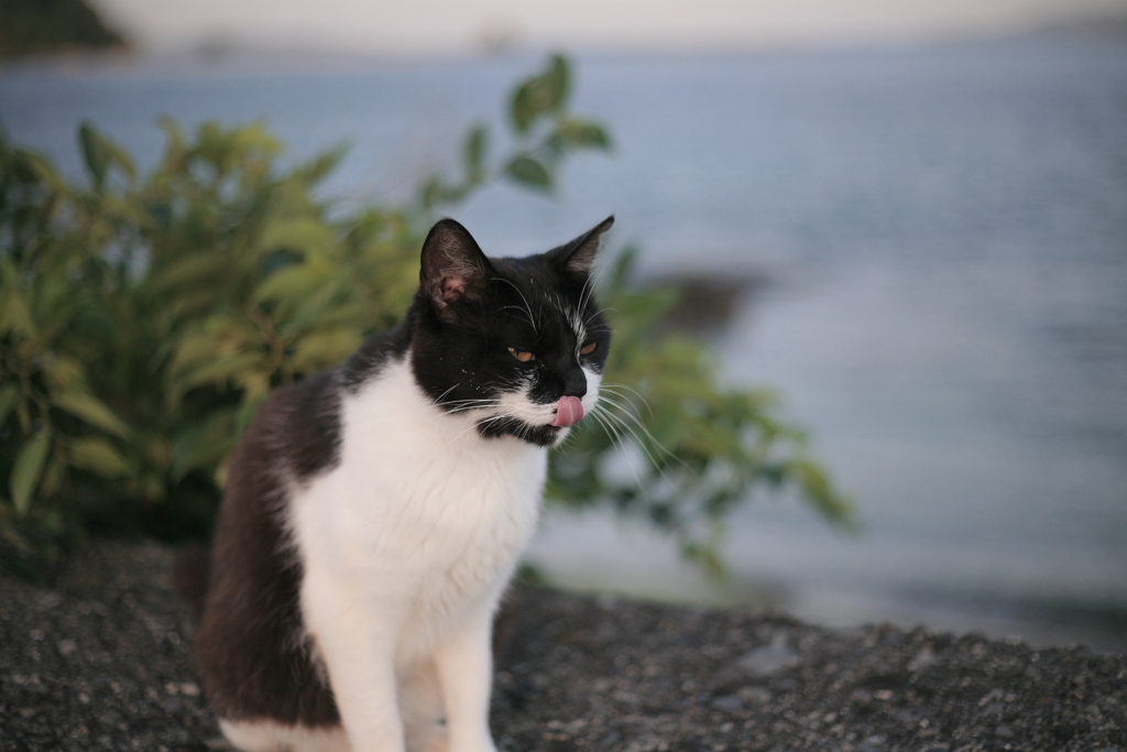 ＠2020‐07‐01朝