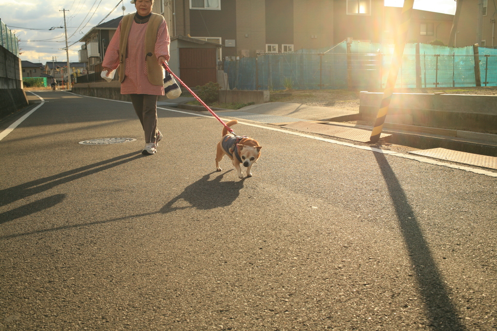 お母さんと散歩してるアキちゃん