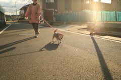 お母さんと散歩してるアキちゃん