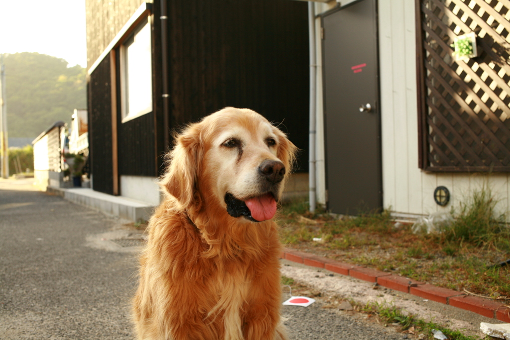 日曜＠2019‐10‐13