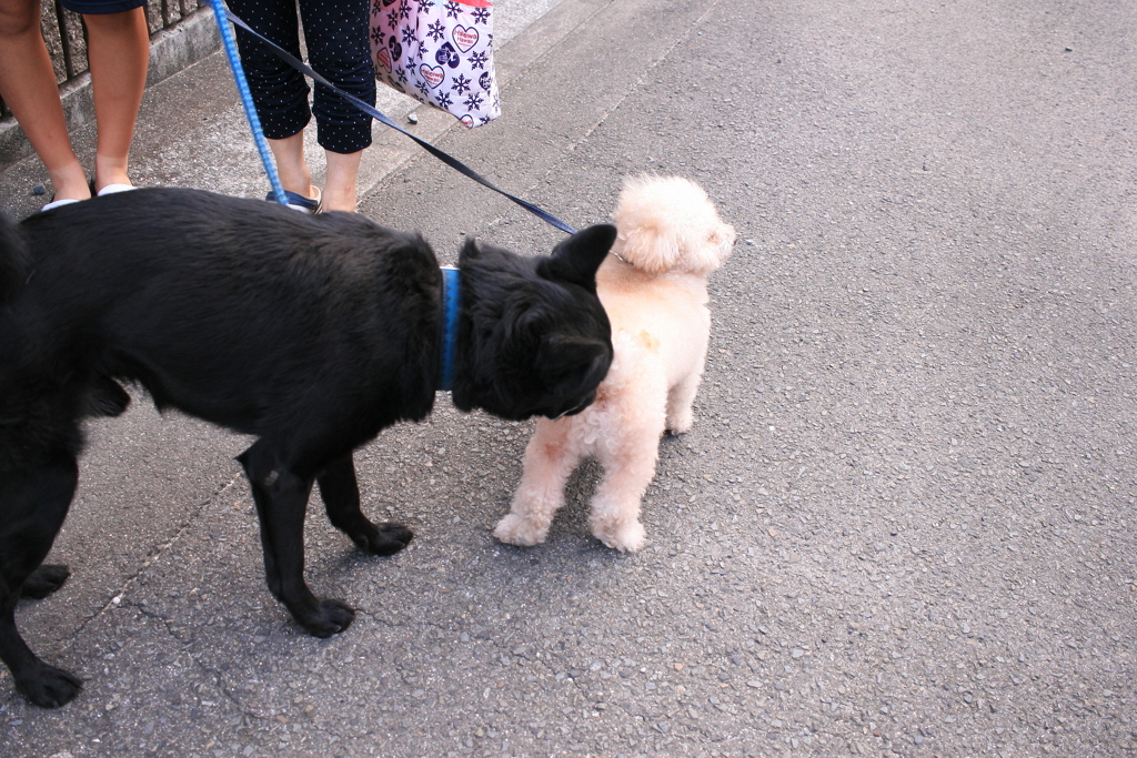 ええのんか～？ええのんか～？