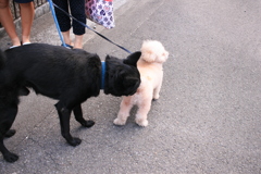 ええのんか～？ええのんか～？