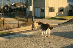 正月もいつも通り!(^^)! 正月もいつも通り!(^^)!
