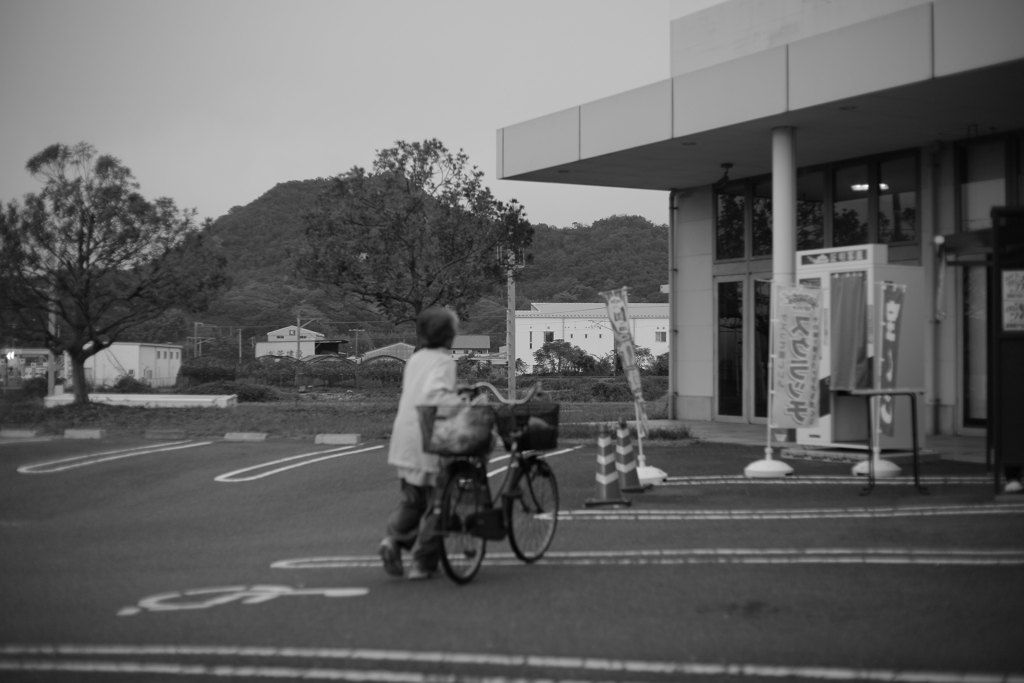 ピントしっかり合わせなあかんな