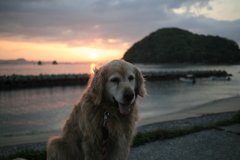 みゅうちゃんと浜に散歩