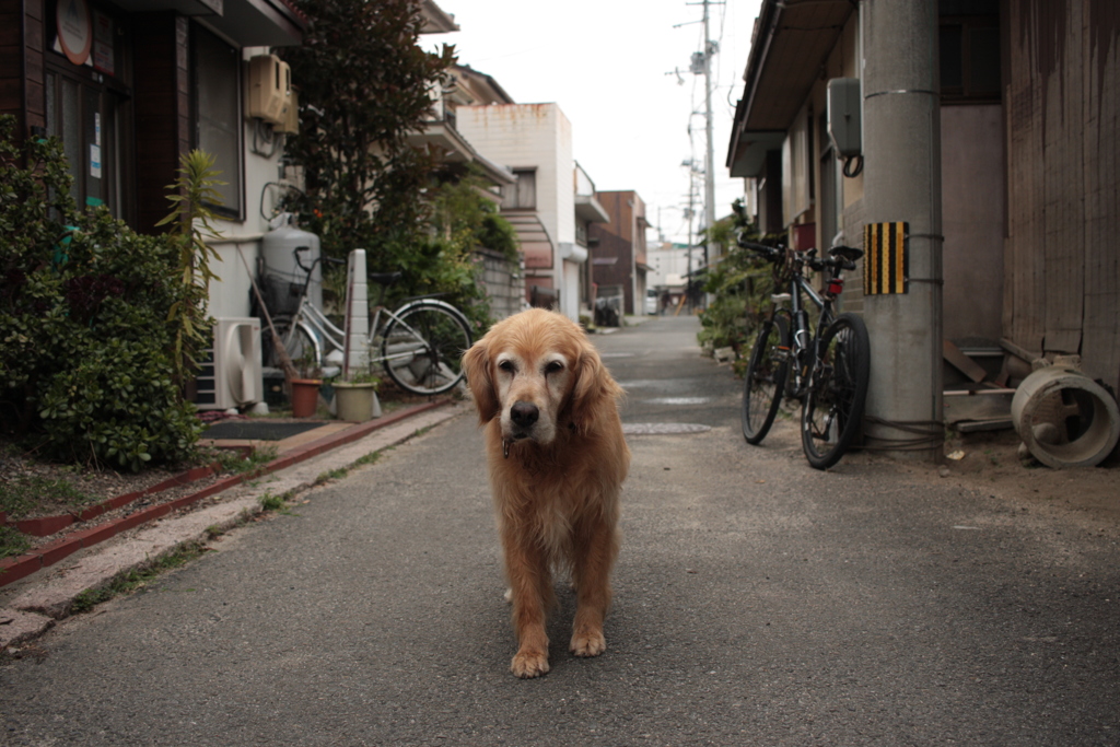 みゅうちゃん＠北条水軍ユースホステル
