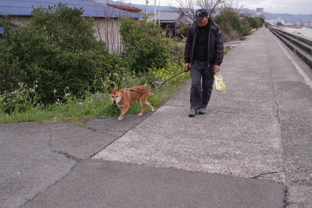 モクちゃん15歳
