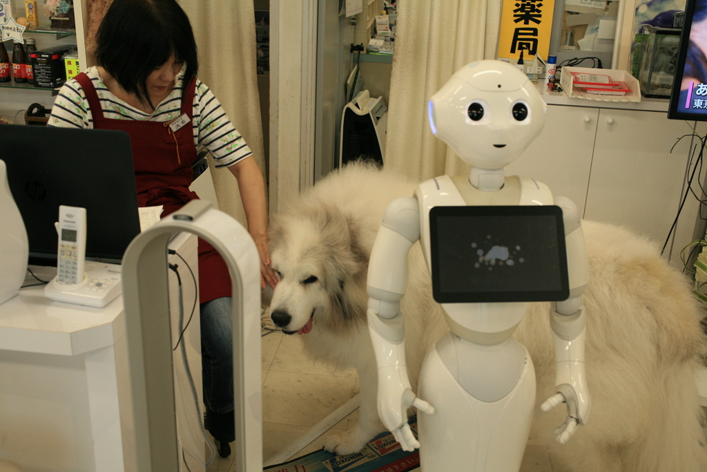 裏の部屋に帰ろうとするココさん