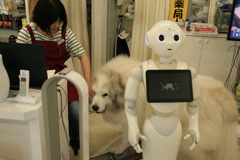 裏の部屋に帰ろうとするココさん