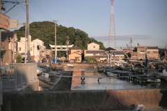 ＠2020‐07‐01朝