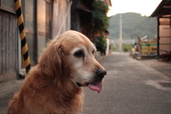 みゅうちゃん＠北条水軍ユースホステル