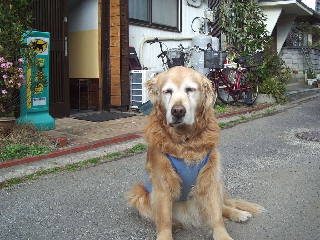 ＠2020‐03‐05
