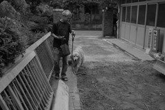 散歩から帰ってきたみゅうちゃん