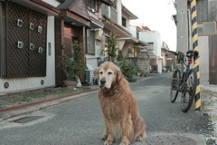 お宿番してるみゅうちゃん