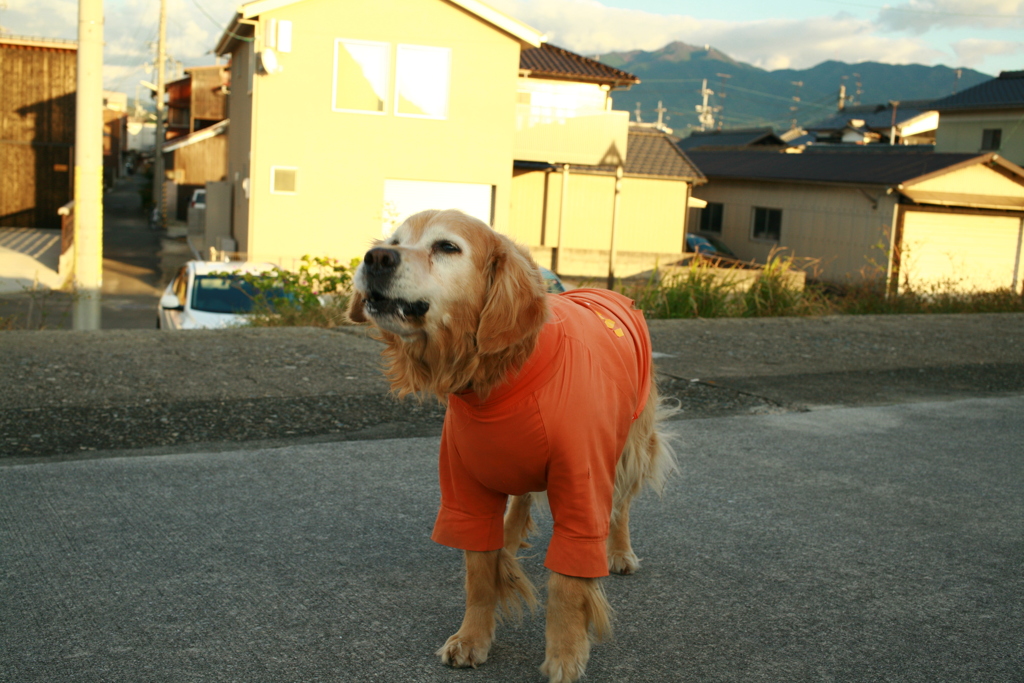 おやつを要求するみゅうちゃん