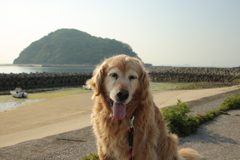 復活したみゅうちゃん