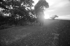 散歩楽しいワン