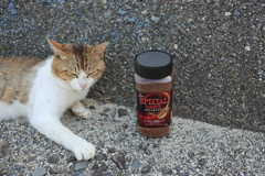 パチモンコーヒーとトム君