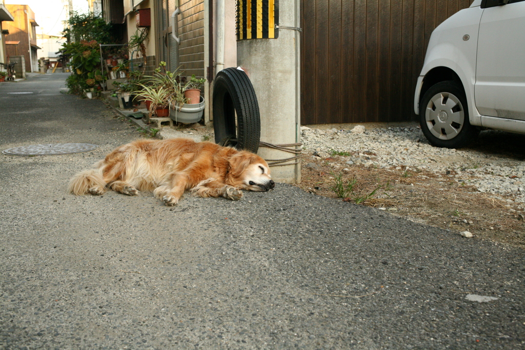 お宿番してる営業本部長みゅうちゃん