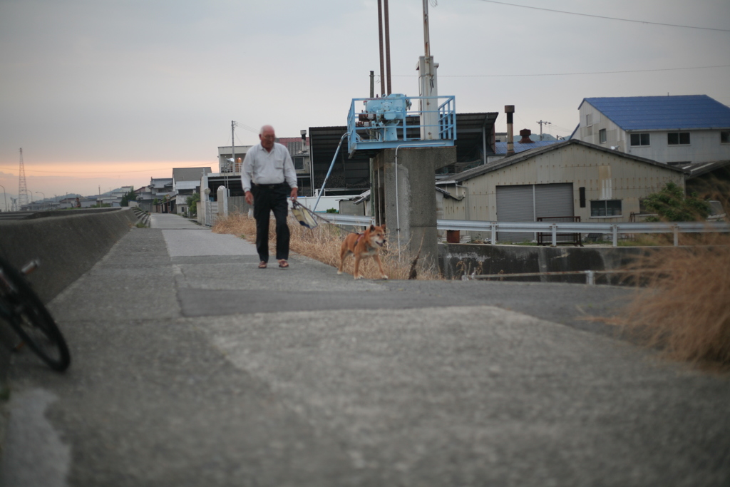会長さんと散歩するモクちゃん