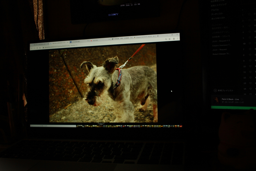 4K表示、見た目がほぼ生