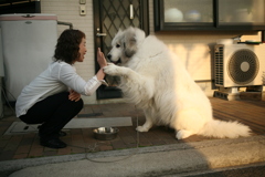 イェイをするココさん