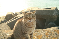 @2020‐03‐11