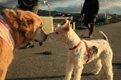 みゅうちゃんとアビィちゃん