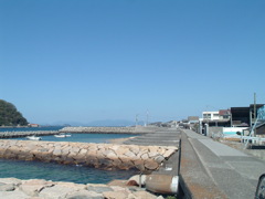 100万画素で激写