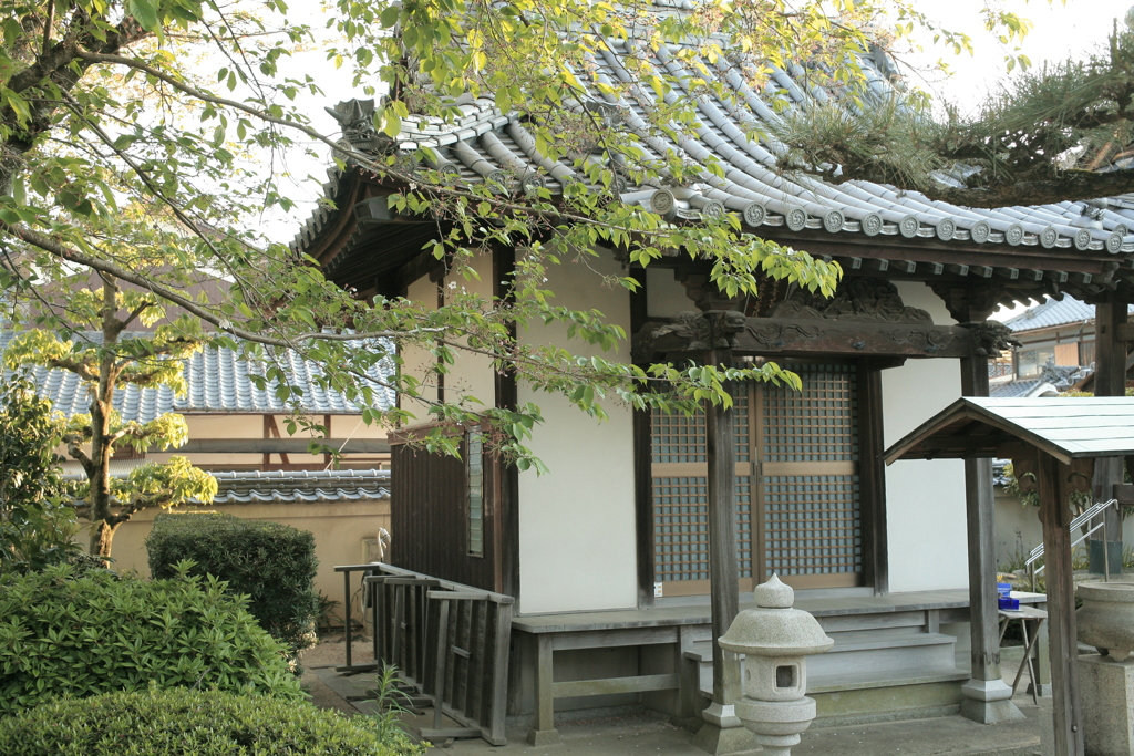 法然寺（ほうねんじ）にて