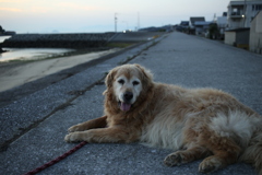 みゅうちゃんと浜で二時間ほど夕涼み