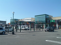 100万画素で激写