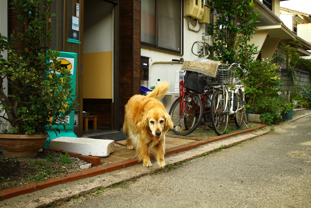 今日も元気なみゅうちゃん