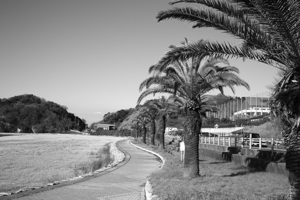 昨日のモノクロ