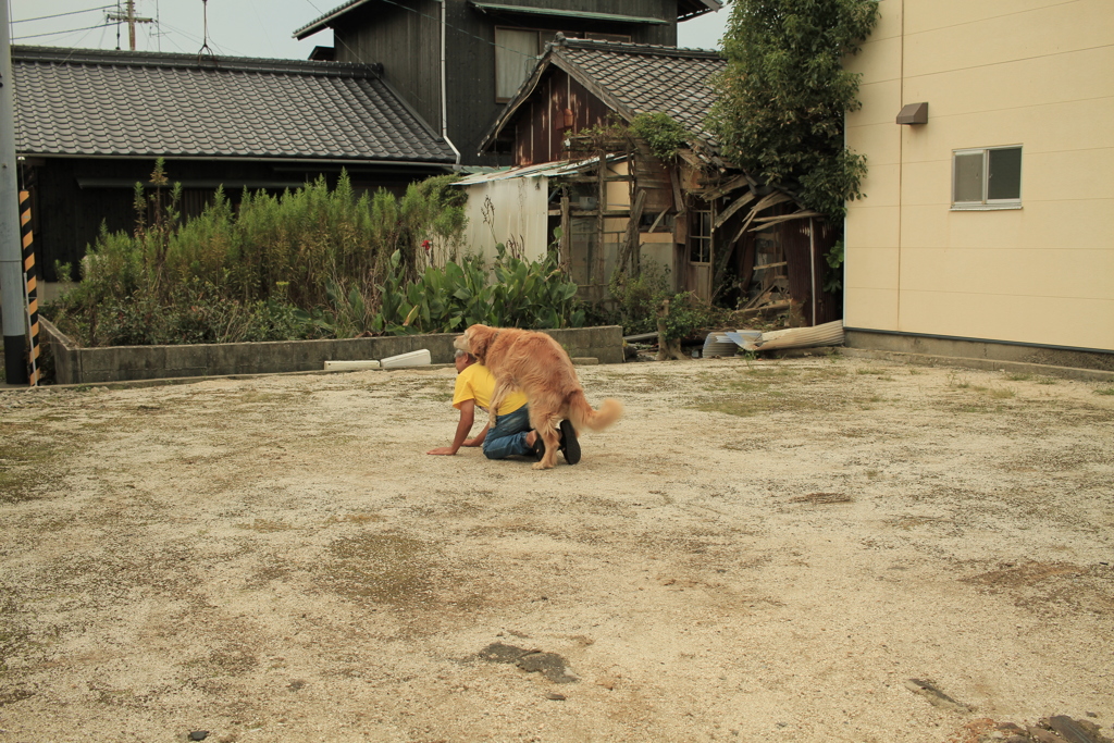 坂田さんに大好き抱っこするみゅうちゃん