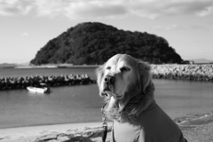 2018写し納　よいお年を！