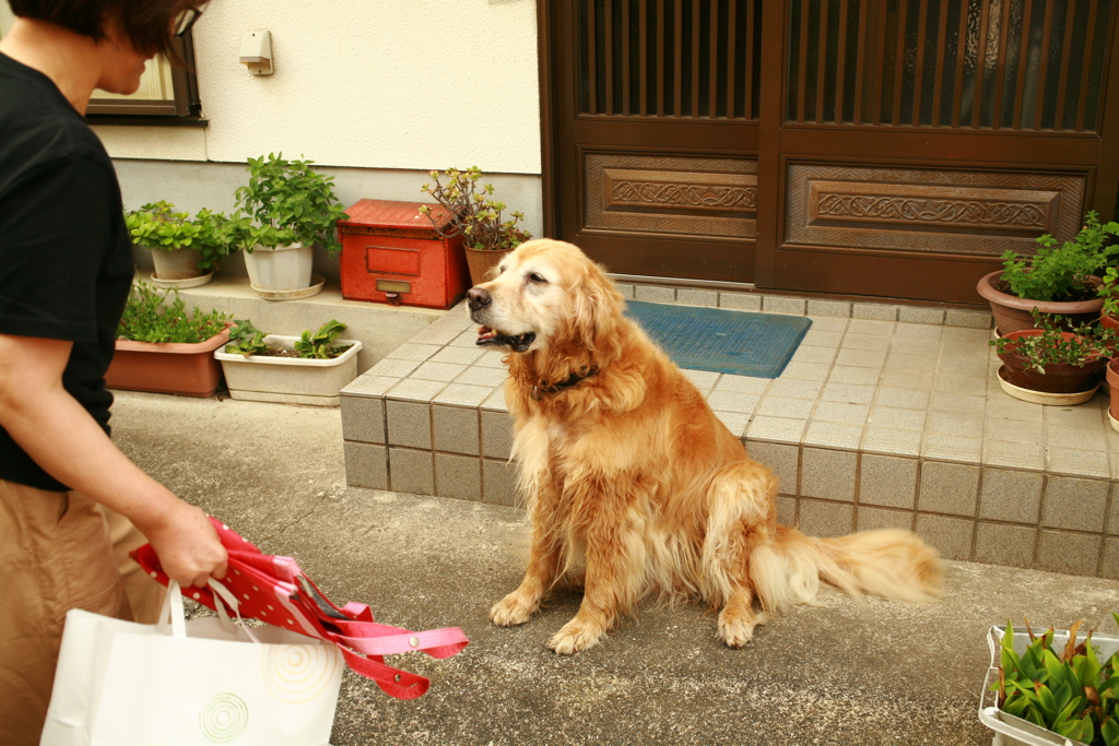 お隣さんにおやつをもらおうとするみゅうちゃん