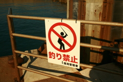 フィッシングプロヒビティッド