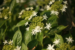 ＠2019-06-10