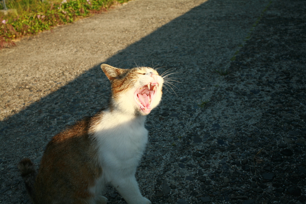 お前を蝋人形にしてやろうか