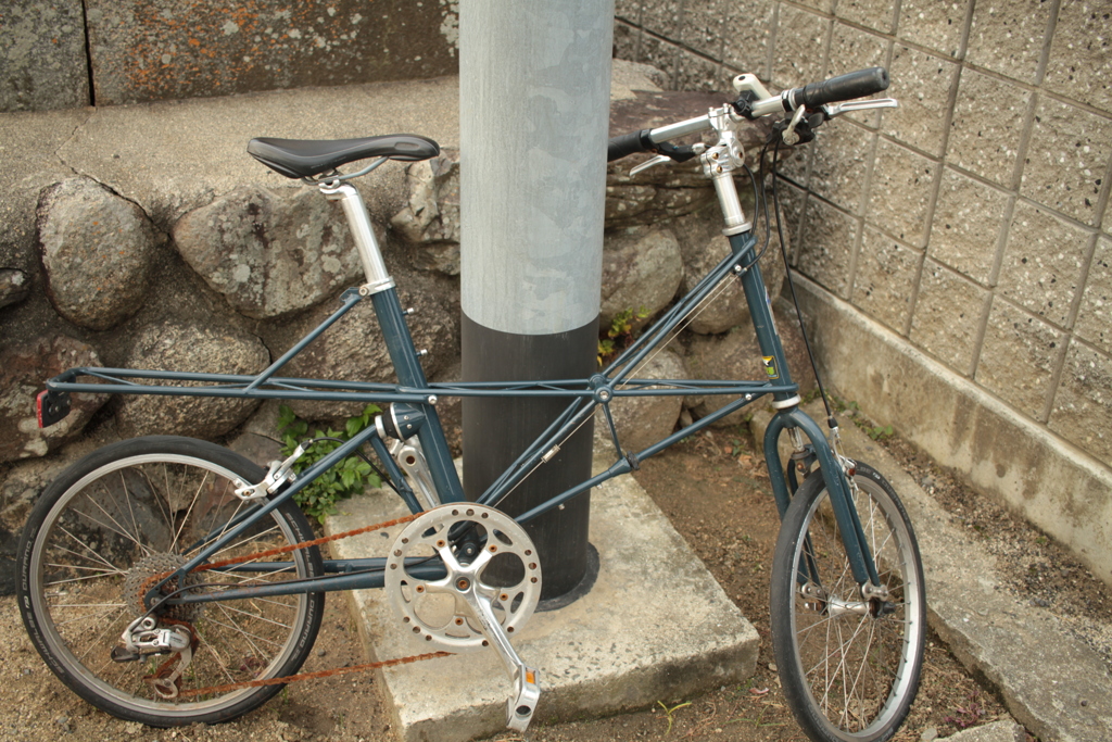 うちの近所に一週間くらいほったらかしにされてたので