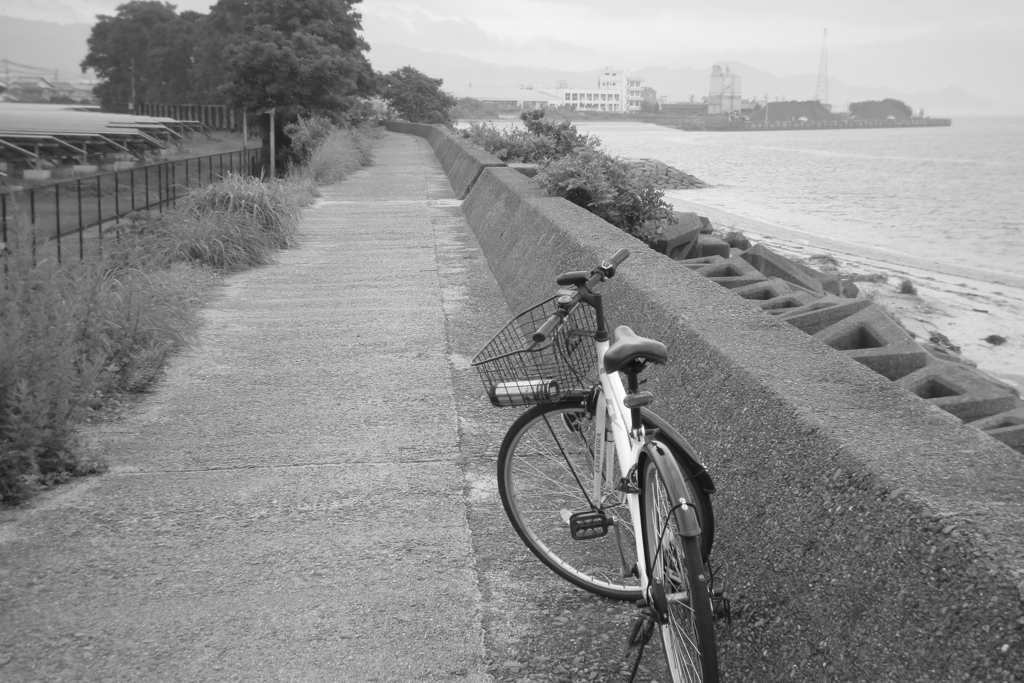 ＠2020‐07‐11　ホルガトイレンズにて