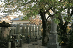 法然寺（ほうねんじ）にて
