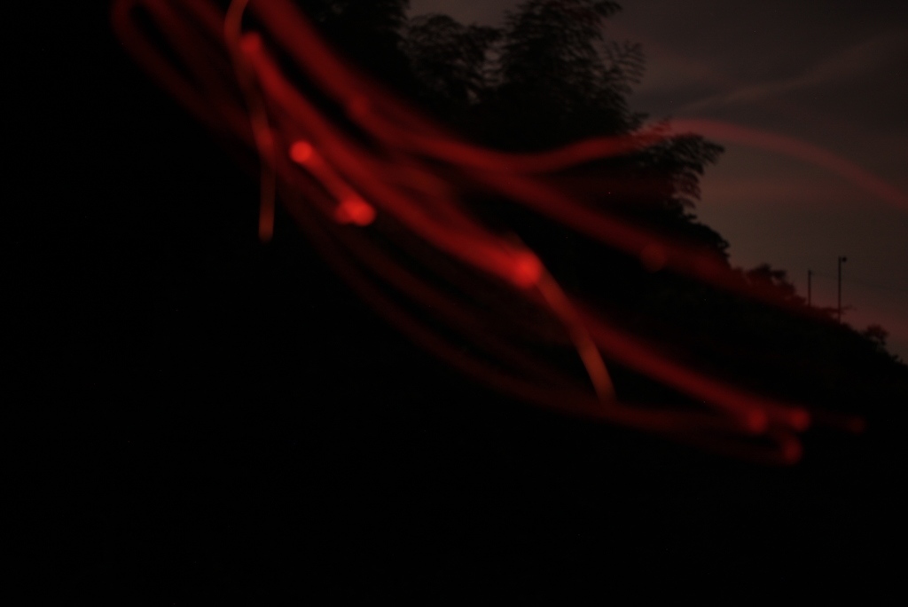 ほたる写せない腹いせにお遊び