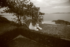 ＠2021‐09‐07