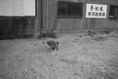 ＠2021‐03‐09