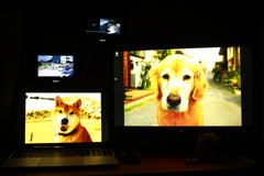 ４Kモニター、高精細がゆえに